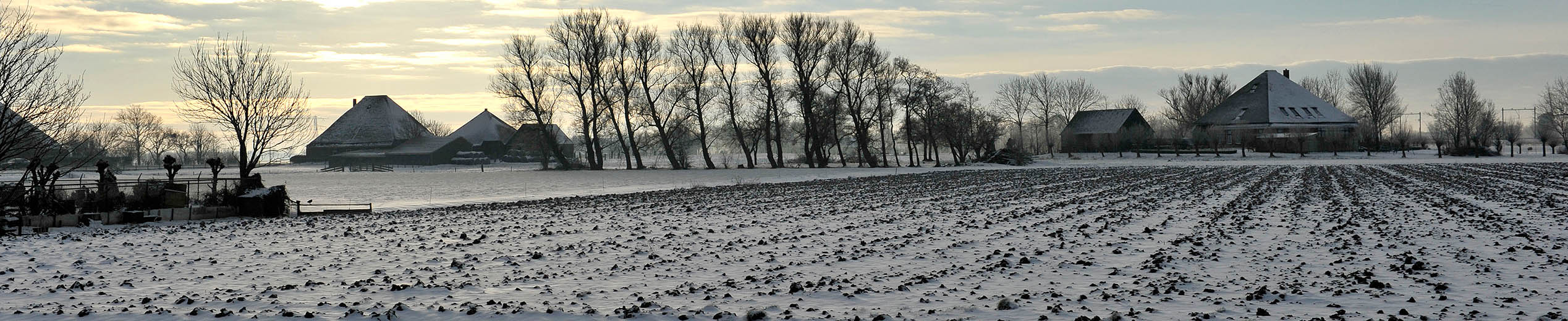 /bestanden/afbeeldingen/Home/Header winters landschap Noord-Holland.jpg